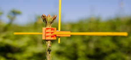 New distributor in the UK